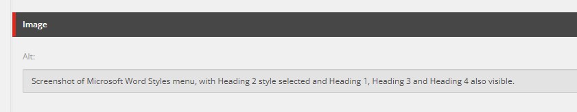 Screenshot of the image alt text field in SiteCore, a content management system used by many colleagues to manage web content