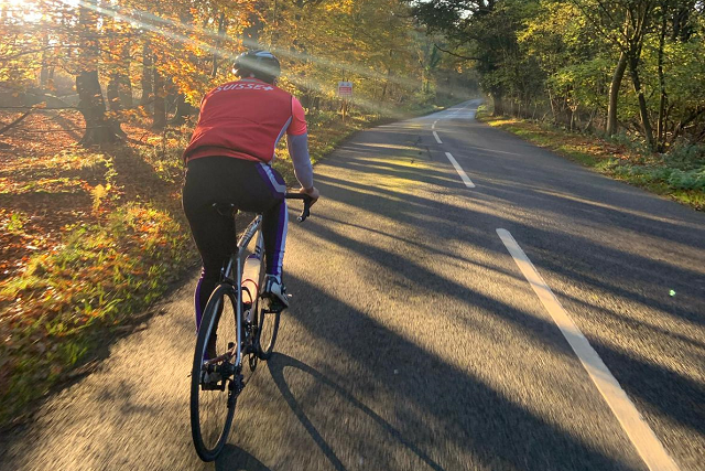 Cyclist cycling down a road surrounded by forest