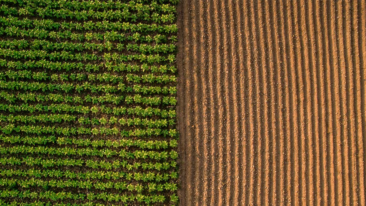 Ariel view of a tractor on a farm