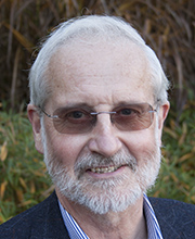 Professor Grenville Astill portrait