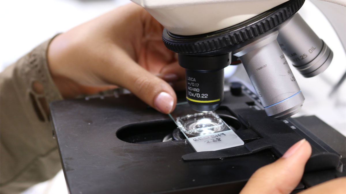 Microscope