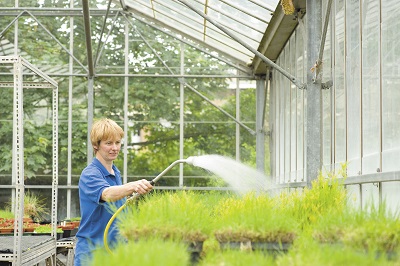 Greenhouse