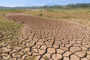 drought2_web860228_61600