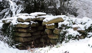 The Grotto
