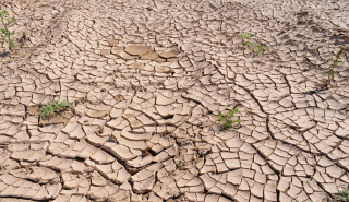 Drought