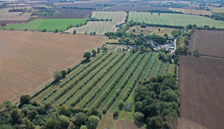 Wakelyns farm, Suffolk
