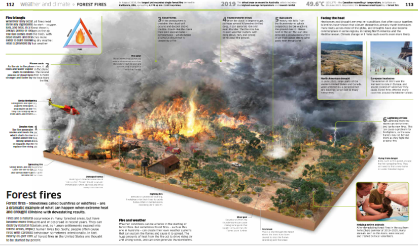 Forest fires DK