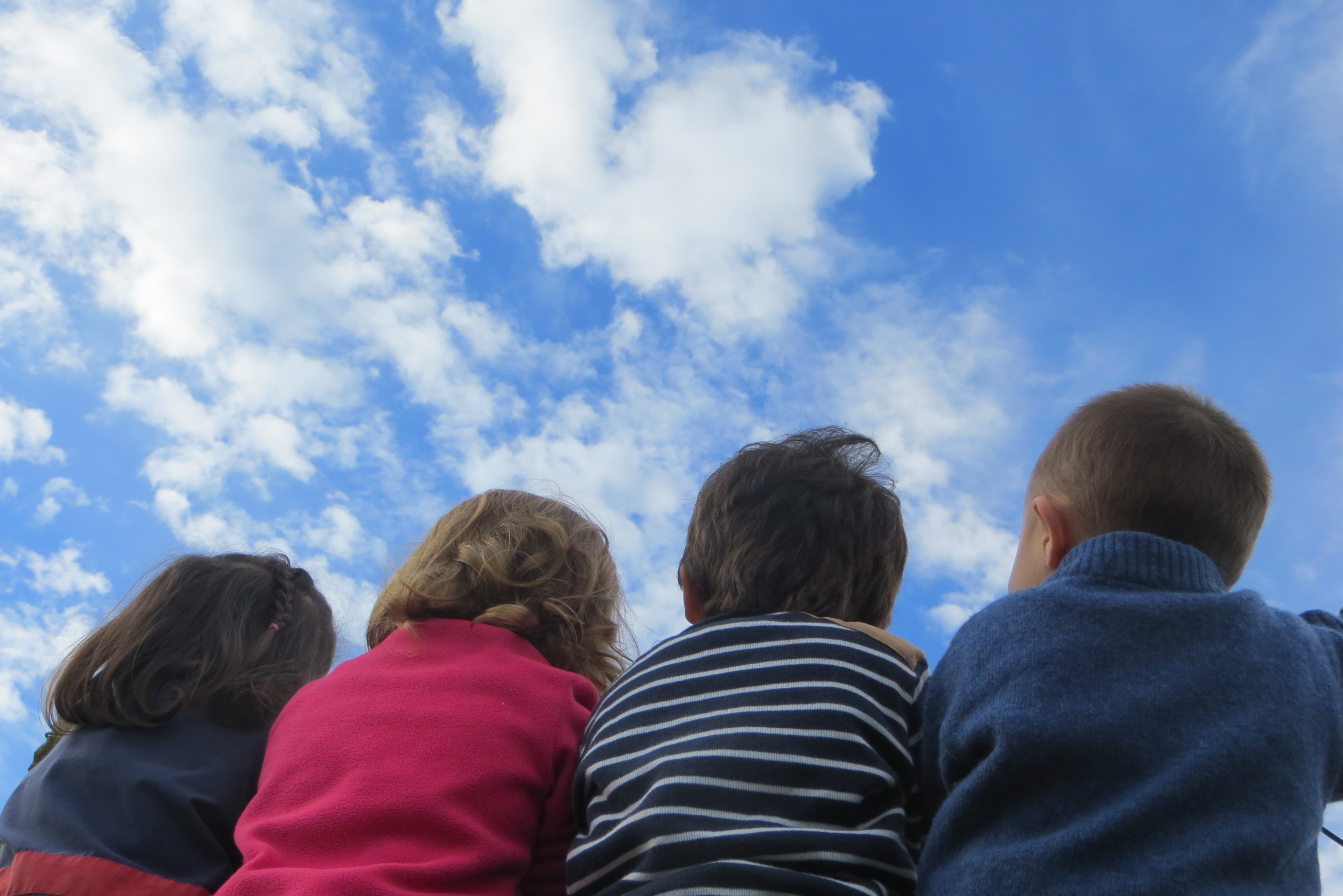 Image of a group of primary children looking climate