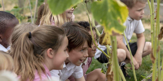 Image of a group of primary school children