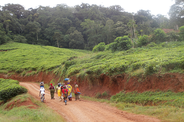 tanzania