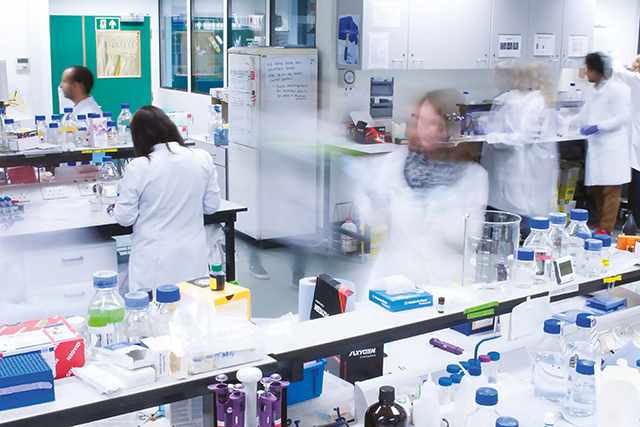 A busy laboratory