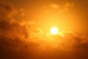 Sun amidst a corona of clouds
